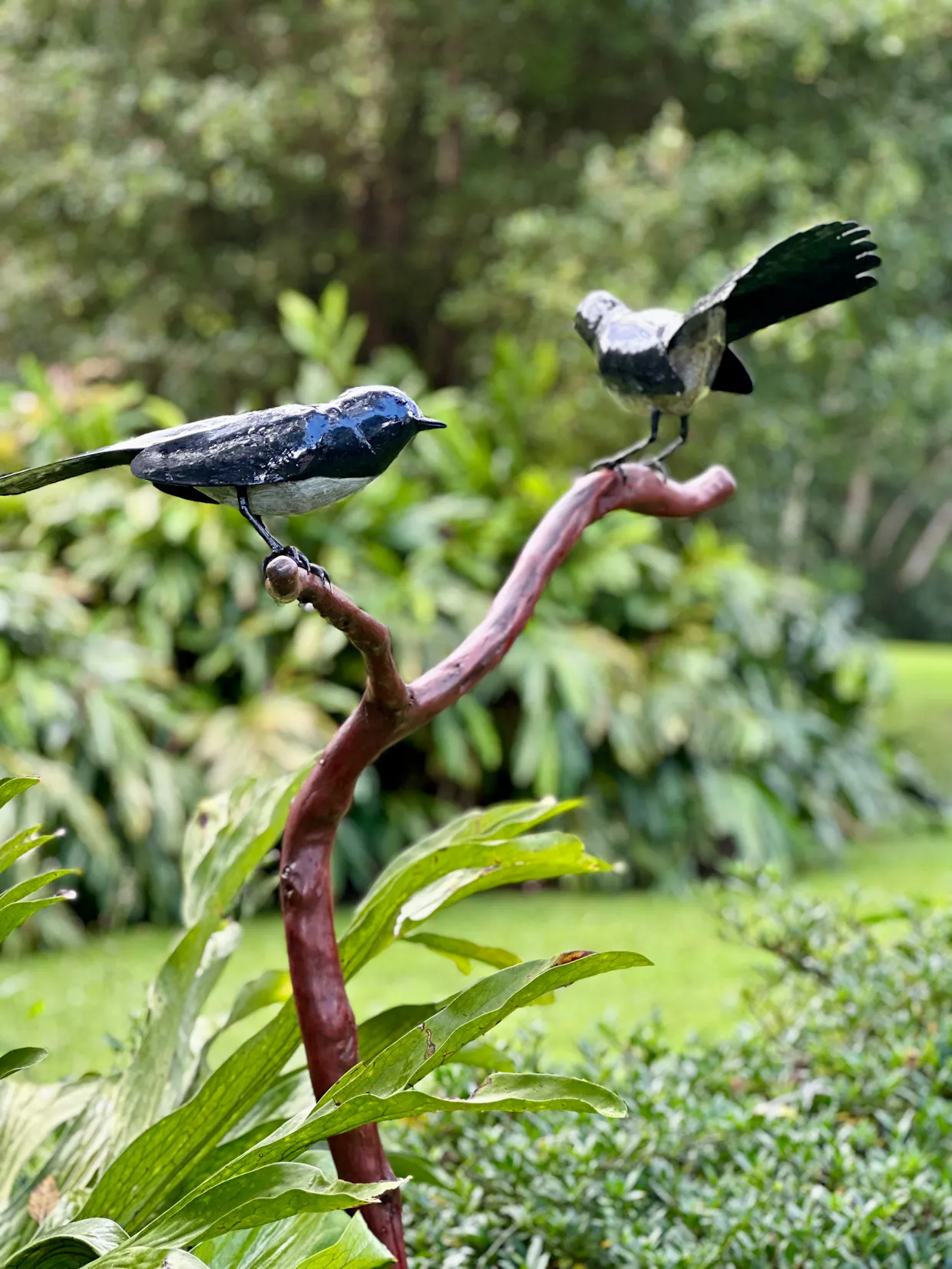 The Sculpture Garden at Spicers Tamarind Retreat