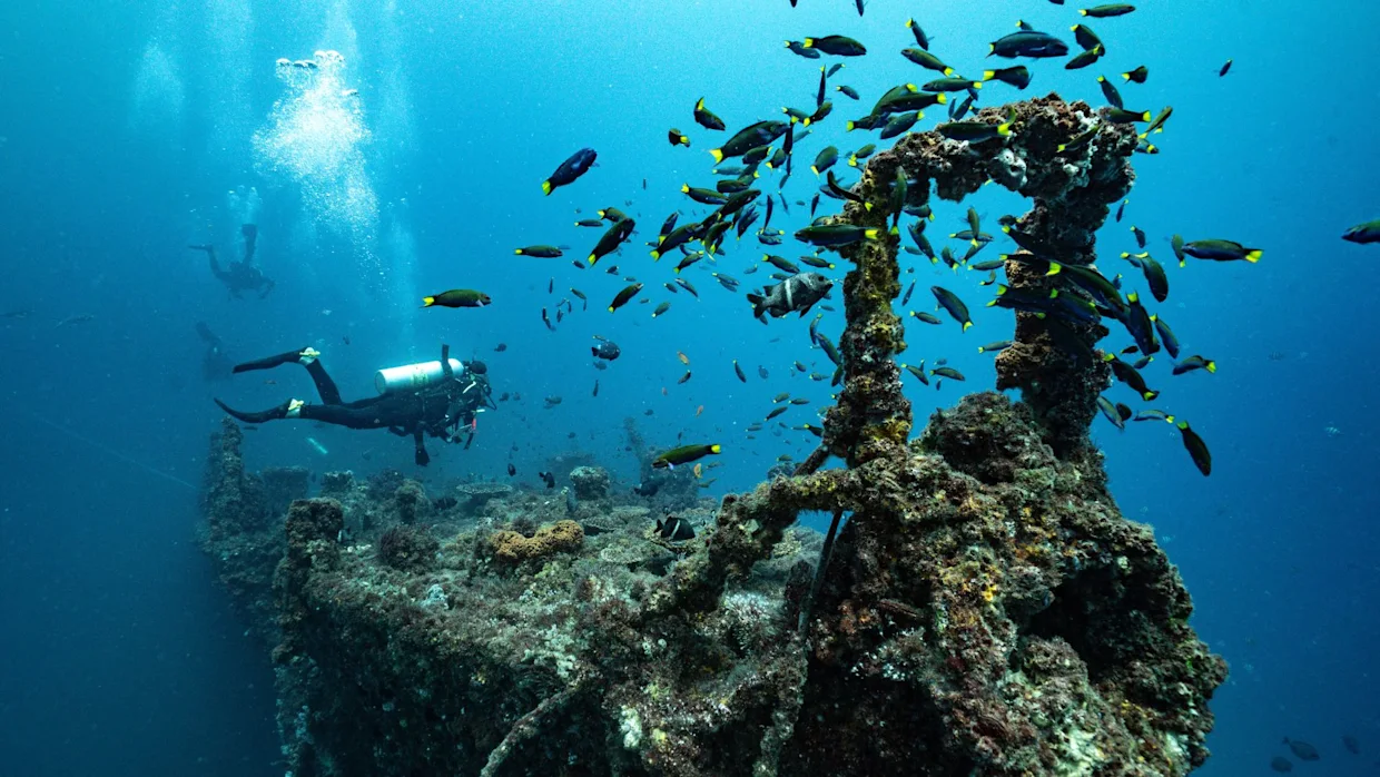 Diving and snorkelling on the Sunshine Coast