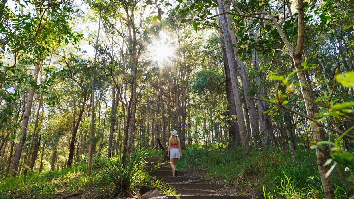 Nambour